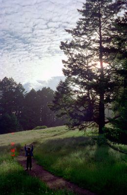 Archives1_IMG_03_rs.jpg