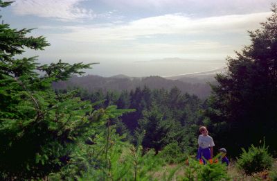 Поход на гору Wittenberg
