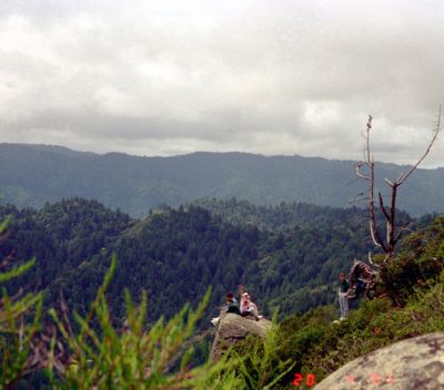 Archives1_IMG_07_rs.jpg