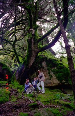 Archives1_IMG_13_rs.jpg