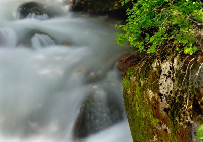 DSC_00241__rs.jpg