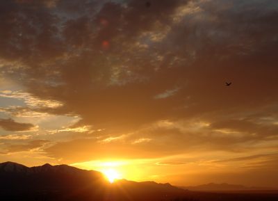 DSC_0444.jpg