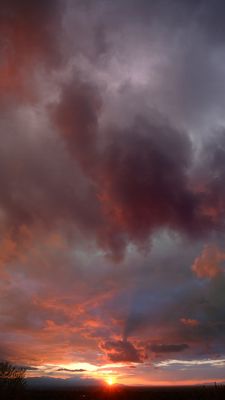 DSC_0520-22_rs.jpg