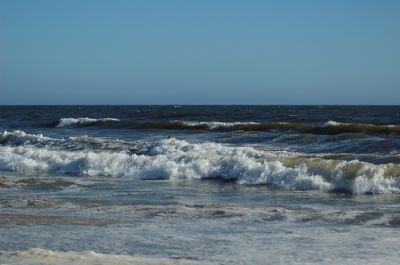 DSC_0797.jpg