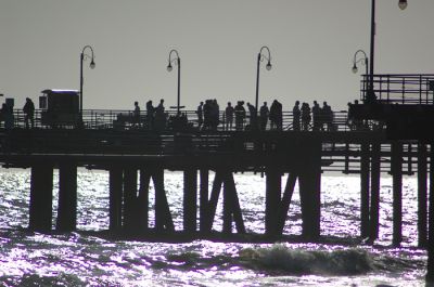 DSC_0827.jpg