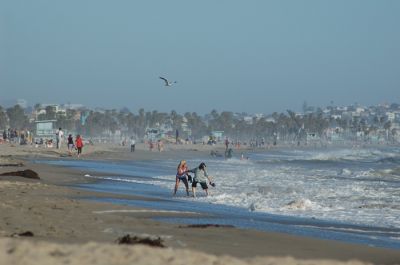 DSC_0847.jpg