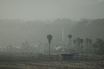 DSC_0887.jpg