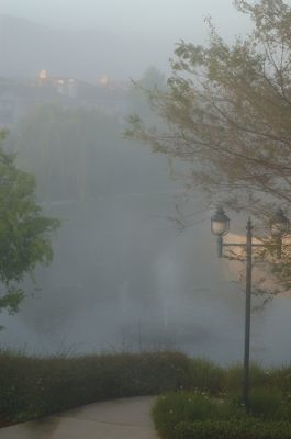 DSC_1019.jpg
