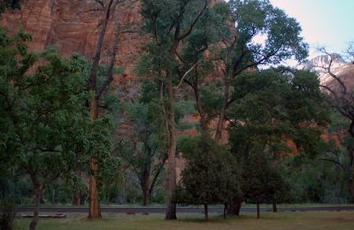DSC_1057.jpg