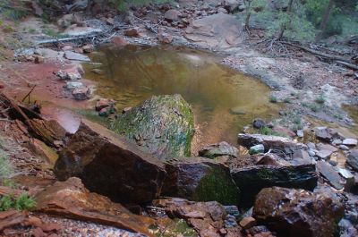DSC_1065.jpg