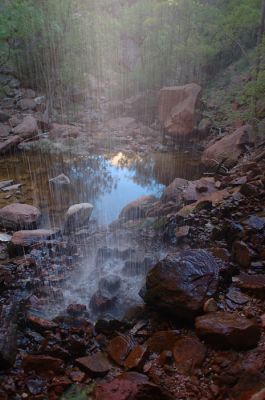 DSC_1067.jpg