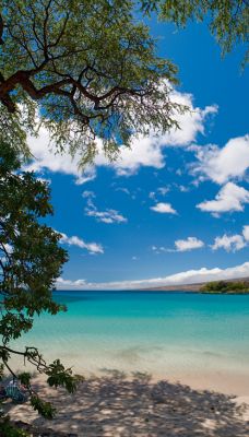 Mauna Kea Beach
