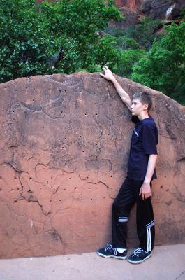 DSC_1147.jpg