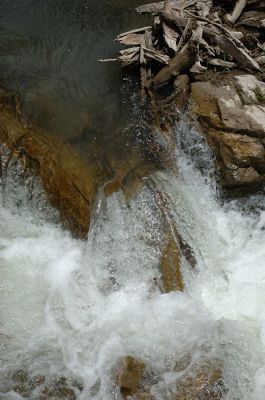DSC_1227.jpg