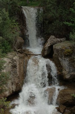 DSC_1258.jpg