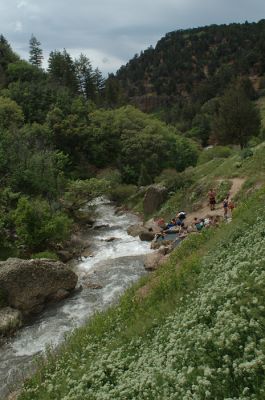 DSC_1308.jpg