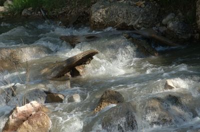 DSC_1320.jpg