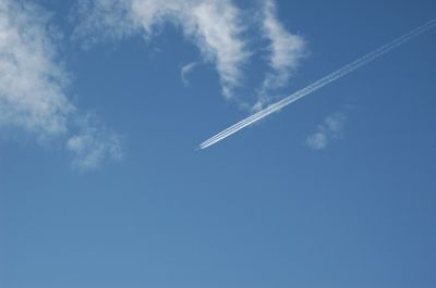 DSC_1338.jpg