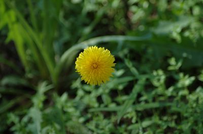 DSC_1348.jpg