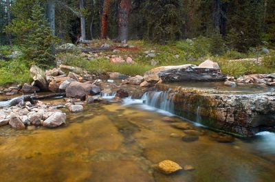 DSC_14756_rs.jpg