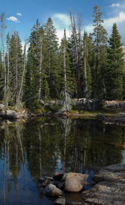 DSC_15111--13_rs.jpg