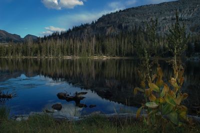 DSC_15138_rs.jpg