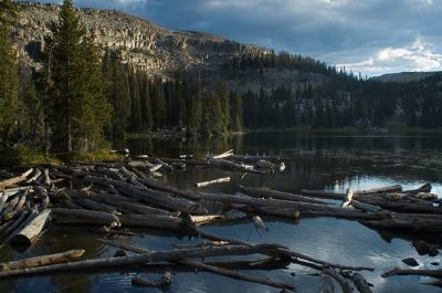 DSC_15170_rs.jpg