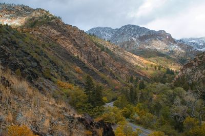 DSC_15313_rs.jpg