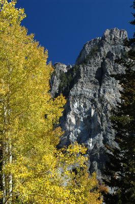 DSC_15427_rs.jpg