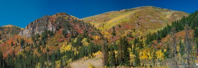 DSC_15532--36_rs.jpg