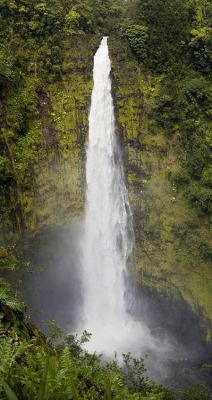DSC_1574--77_rs.jpg