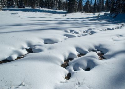 DSC_15748_rs.jpg