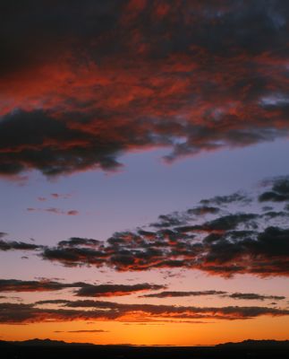 DSC_1612-13_rs.jpg