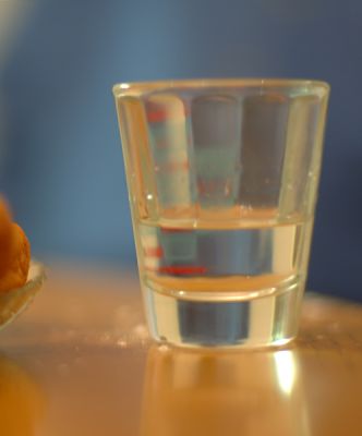 DSC_1748_rs.jpg