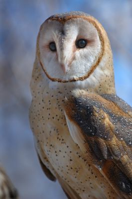 DSC_17639_rs.jpg