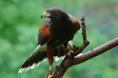 DSC_18990_rs.jpg