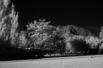 DSC_19596_rs.jpg