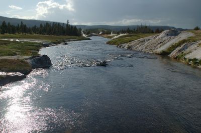 DSC_2001_rs.jpg