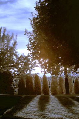 DSC_20157_rs.jpg