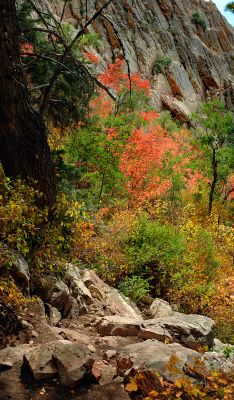 DSC_22619--21_rs.jpg