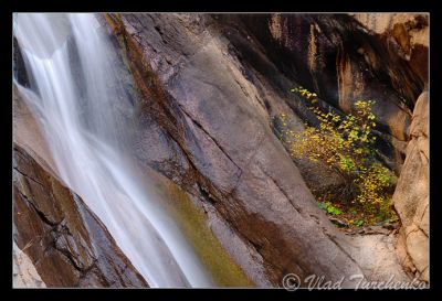 DSC_23486_ps.jpg