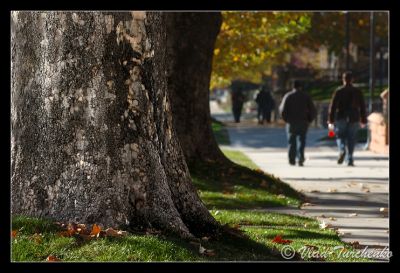 DSC_23786_rs.jpg