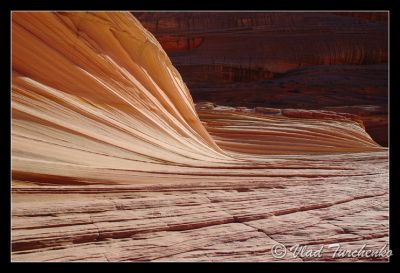 DSC_24006_tps.jpg