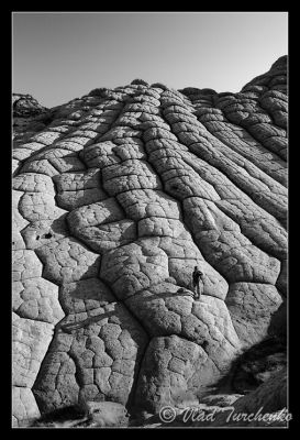 DSC_24121_bwps.jpg