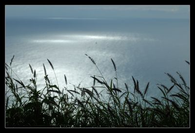 DSC_25638_rs.jpg