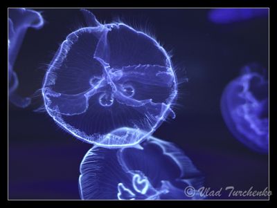 DSC_25892_tps.jpg