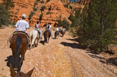 Red Canyon

