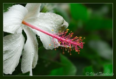 DSC_26566_rs.jpg