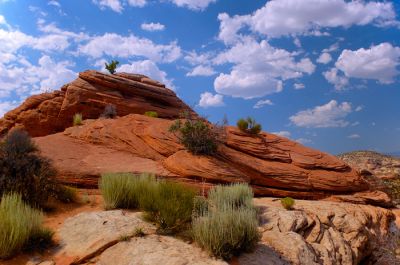 DSC_2682_rs.jpg