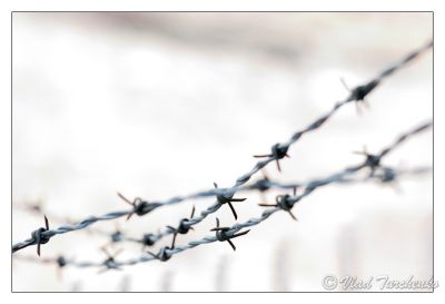 DSC_28734_ps.jpg